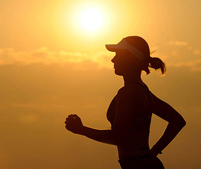 尊龙凯时文化简述